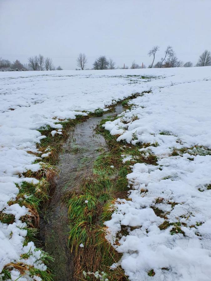 Hemels Paradijs In La Roche En Ardenne Te Cielle Exteriér fotografie
